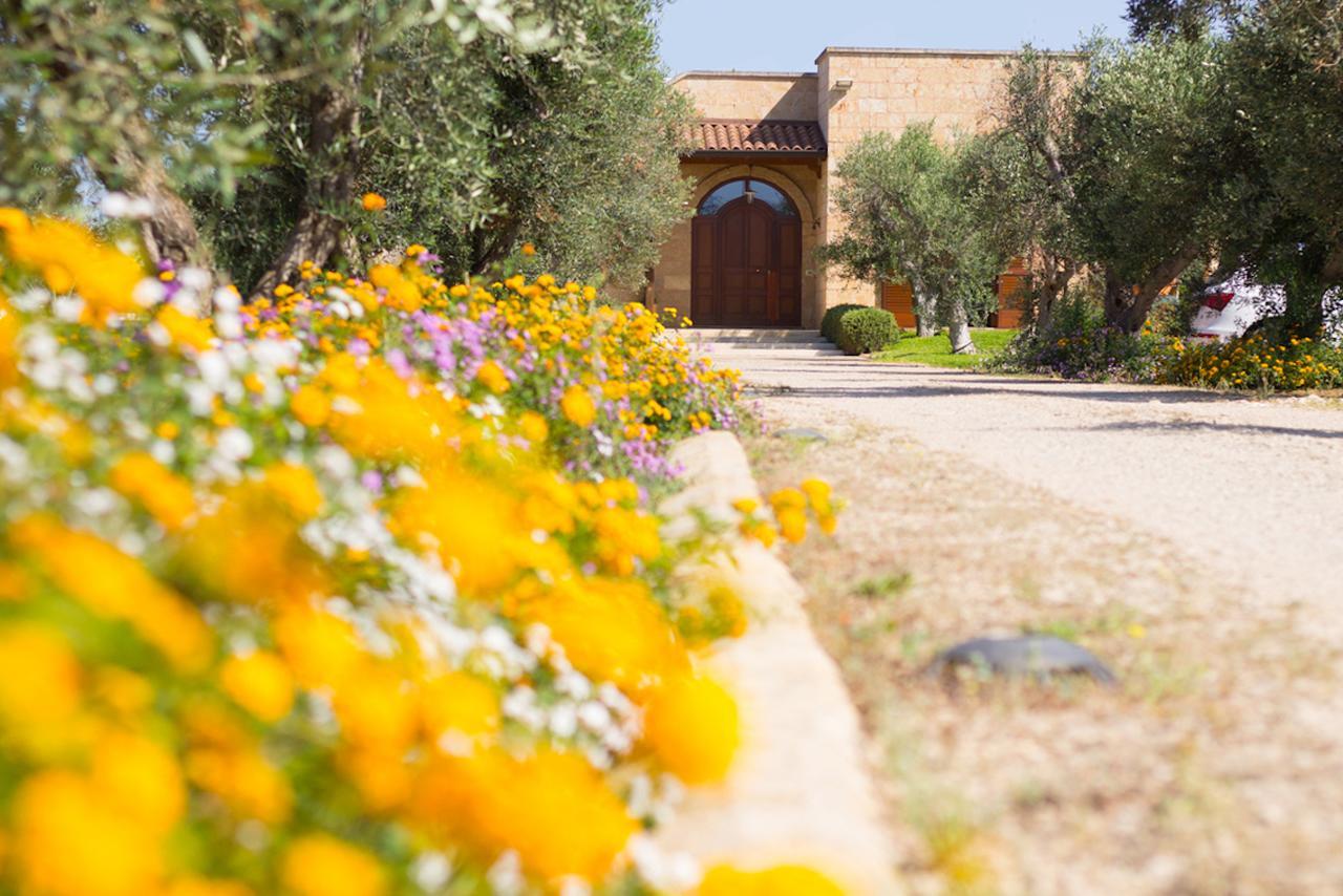 Biancolivo Gallipoli In Salento Exteriör bild